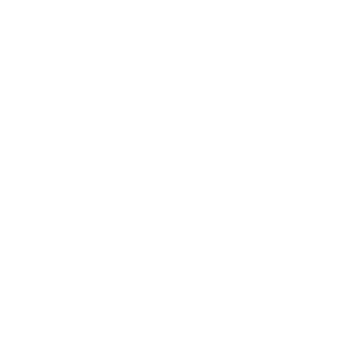 plane globe